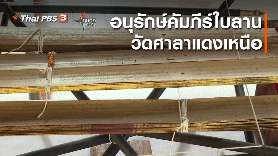 ​วิถีทั่วไทย : อนุรักษ์คัมภีร์ใบลานวัดศาลาแดงเหนือ จ.ปทุมธานี