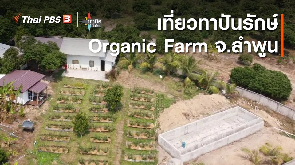 ​วิถีทั่วไทย : ทาปันรักษ์ Organic Farm จ.ลำพูน
