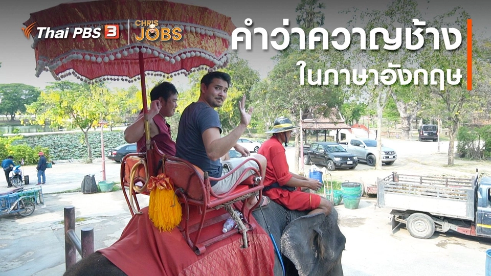 สาระน่ารู้จาก Chris Jobs : คำว่าควาญช้างในภาษาอังกฤษ