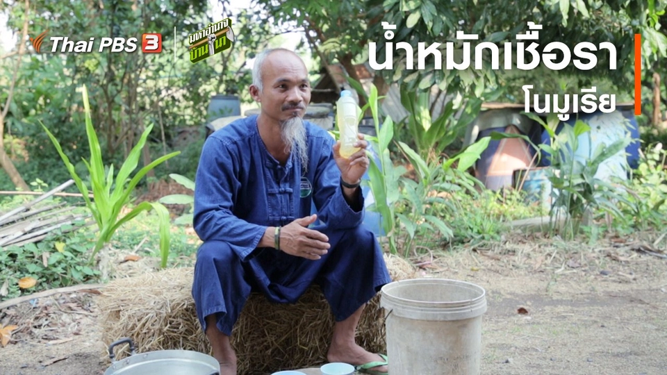 ​สูตรลับฉบับบ้านนา : น้ำหมักเชื้อราโนมูเรีย