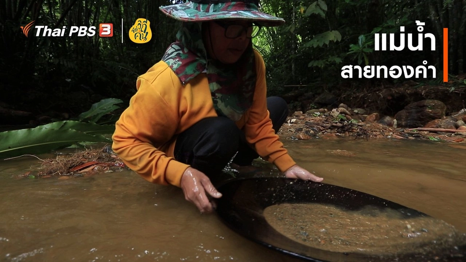 แม่น้ำสายทองคำ