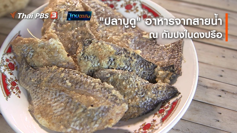 อิ่มมนต์รส : "ปลาบูดู" อาหารจากสายน้ำ ณ กัมปงในดงปรือ