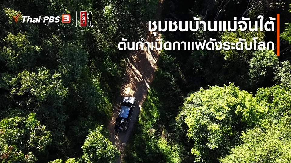 รู้ให้ลึกเรื่องญี่ปุ่น : ชุมชนบ้านแม่จันใต้ ต้นกำเนิดกาแฟดังระดับโลก