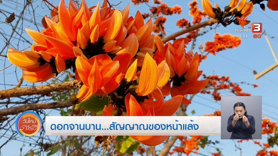 สีสันวาไรตี้ (16 ก.พ. 64)