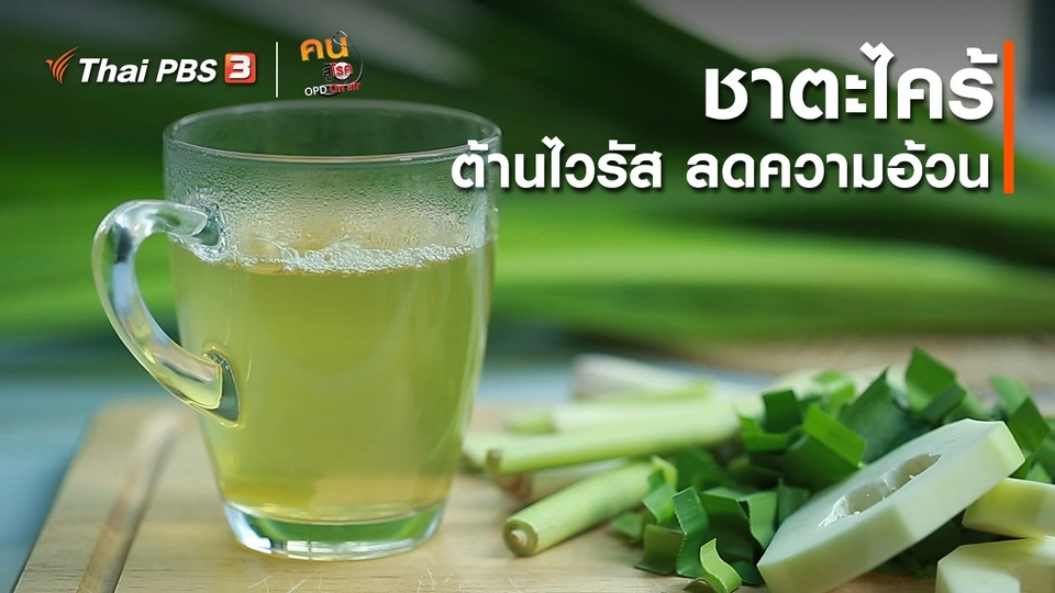 ​กินดี อยู่ดี กับหมอพรเทพ : ชาตะไคร้ ต้านไวรัส ลดความอ้วน