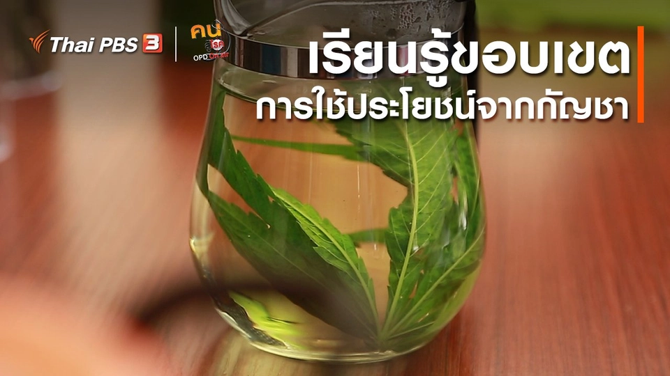 ​รู้สู้โรค : เรียนรู้ขอบเขตการใช้ประโยชน์จากกัญชา