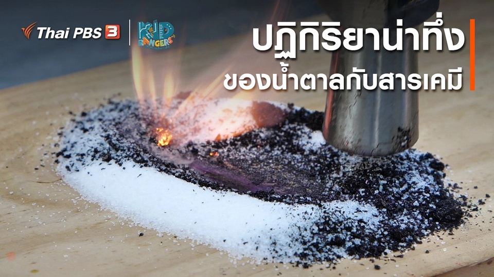 ​คิดส์เรียนรู้ : ปฏิกิริยาน่าทึ่งของน้ำตาลกับสารเคมี