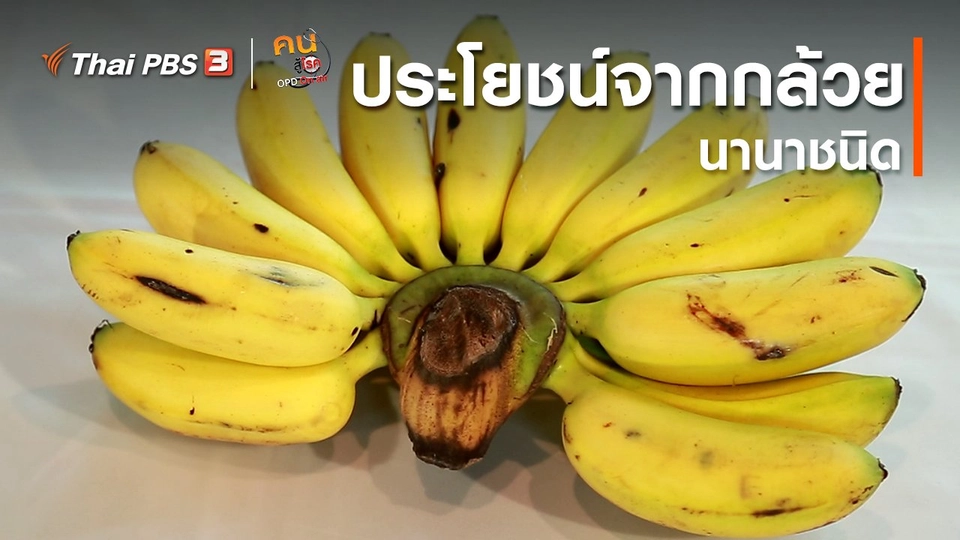 กินดี อยู่ดี กับหมอพรเทพ : ประโยชน์จากกล้วยนานาชนิด