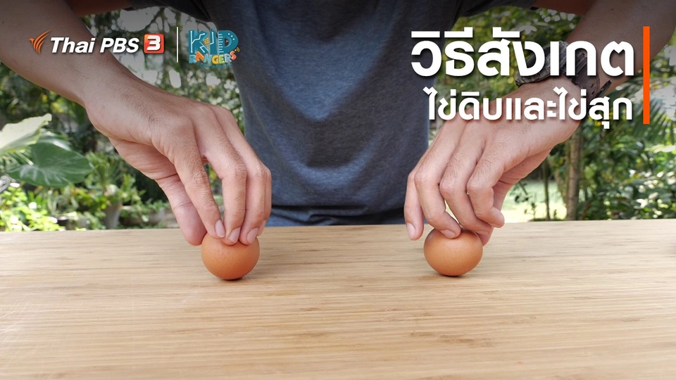 ​คิดส์เรียนรู้ : วิธีสังเกตไข่ดิบและไข่สุก