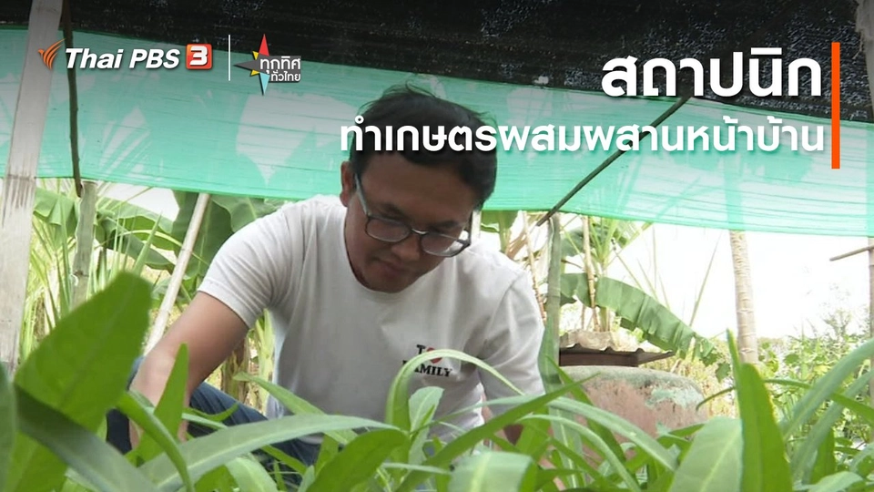 อาชีพทั่วไทย : สถาปนิกทำเกษตรผสมผสานหน้าบ้าน จ.เพชรบูรณ์