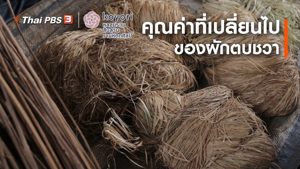 คุณค่าที่เปลี่ยนไปของ ผักตบชวา