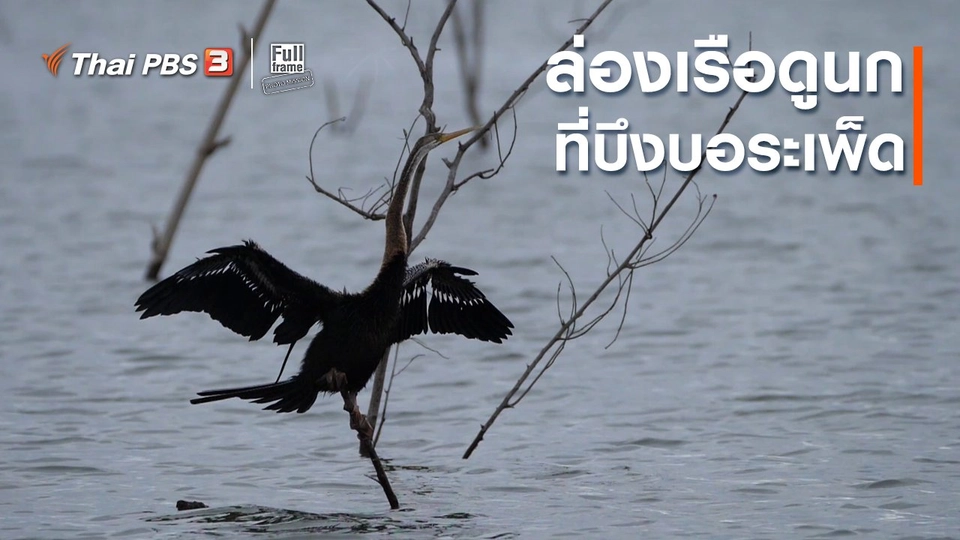 ภาพช็อตเด็ด : ล่องเรือดูนกที่บึงบอระเพ็ด