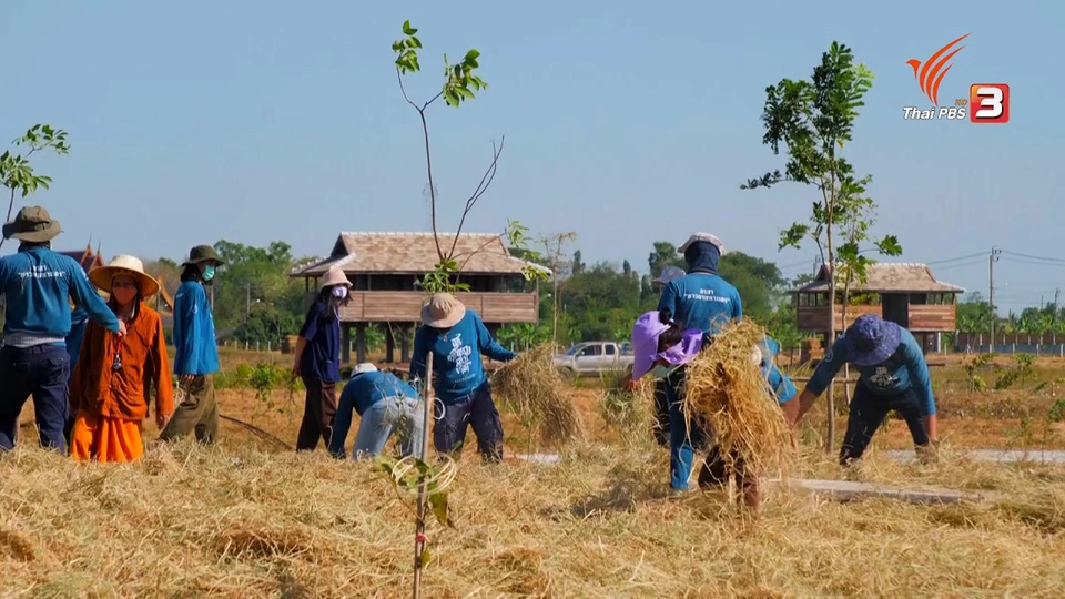 ​โคกหนองนายุคโควิด-19