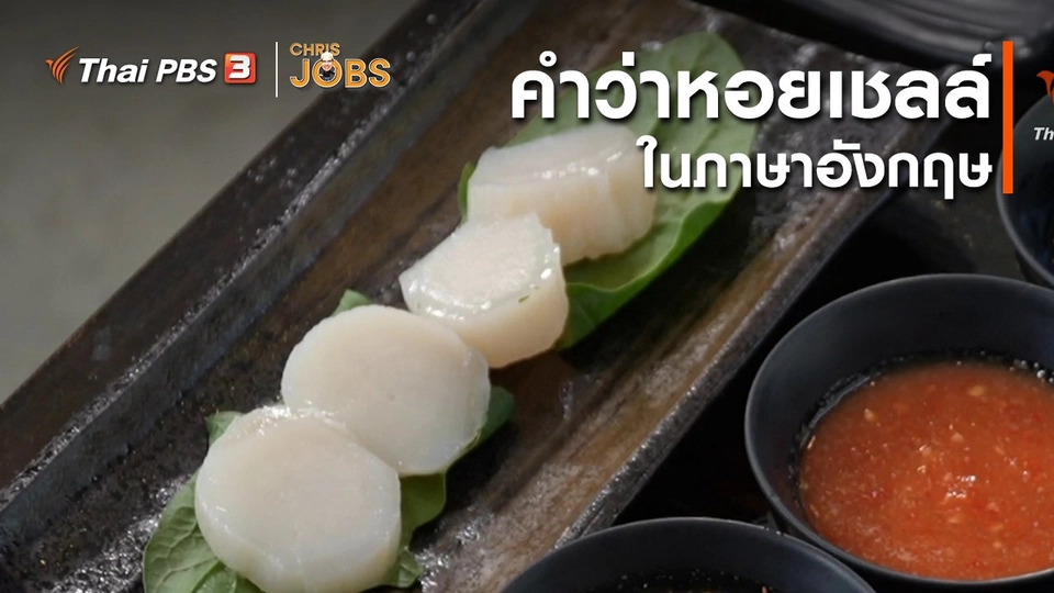 สาระน่ารู้จาก Chris Jobs : คำว่าหอยเชลล์ในภาาษาอังกฤษ