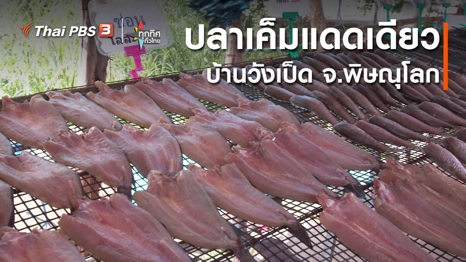 ปลาเค็มแดดเดียวบ้านวังเป็ด จ.พิษณุโลก : ​อาชีพทั่วไทย