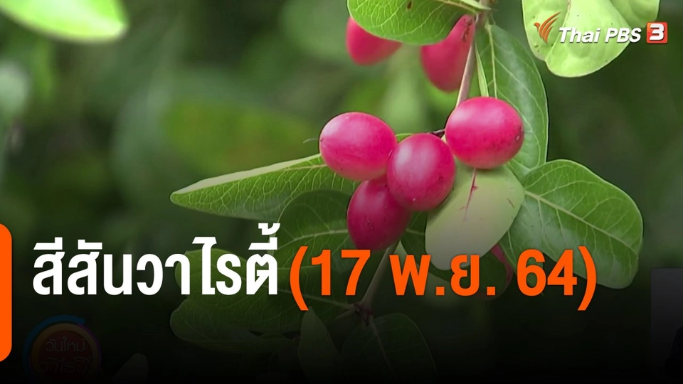 สีสันวาไรตี้ (17 พ.ย. 64)