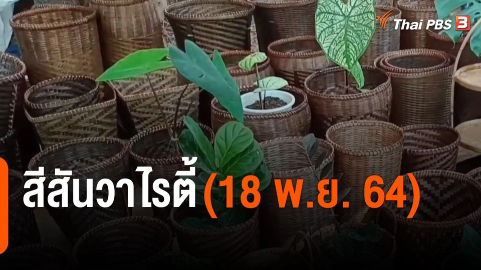 สีสันวาไรตี้ (18 พ.ย. 64)