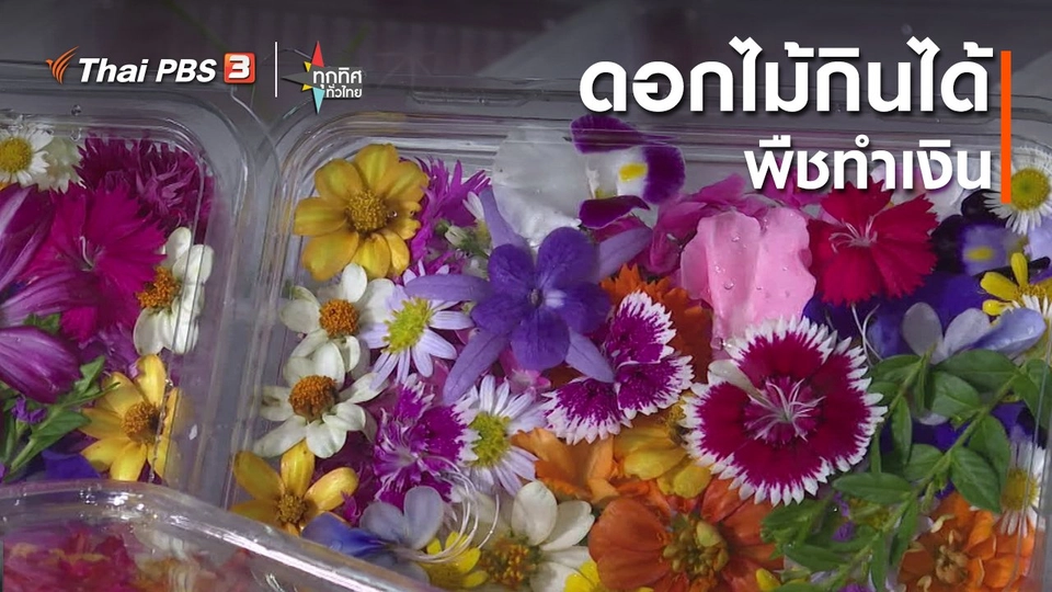 ​อาชีพทั่วไทย : ดอกไม้กินได้พืชทำเงิน กทม.