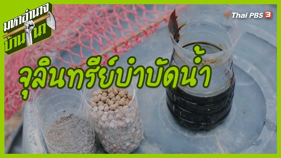 สูตรลับฉบับบ้านนา : จุลินทรีย์บำบัดน้ำ