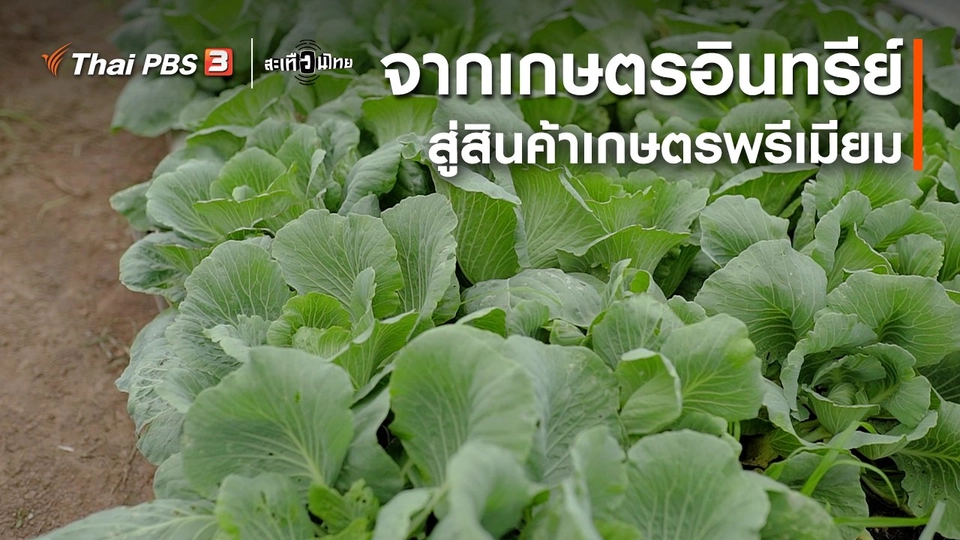 ​นักสร้างความเปลี่ยนแปลง : จากเกษตรอินทรีย์ สู่สินค้าเกษตรพรีเมียม