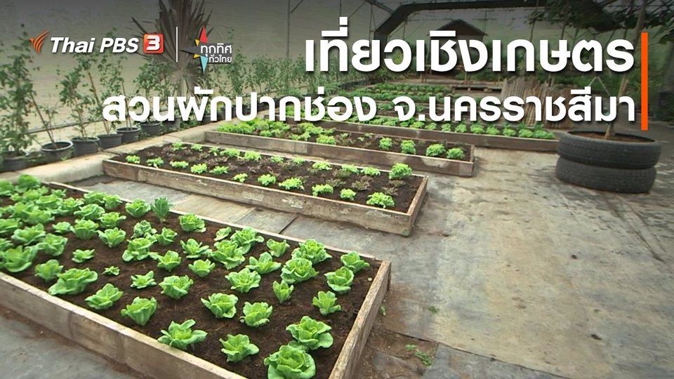 ​อาชีพทั่วไทย : เที่ยวเชิงเกษตรสวนผักปากช่อง จ.นครราชสีมา