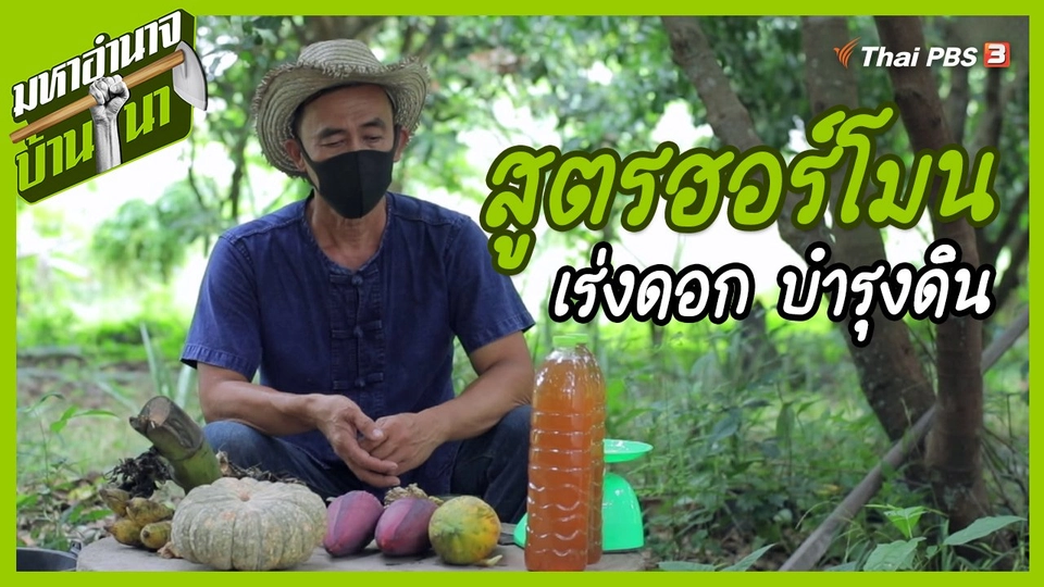 สูตรลับฉบับบ้านนา : สูตรฮอร์โมน เร่งดอก บำรุงดิน