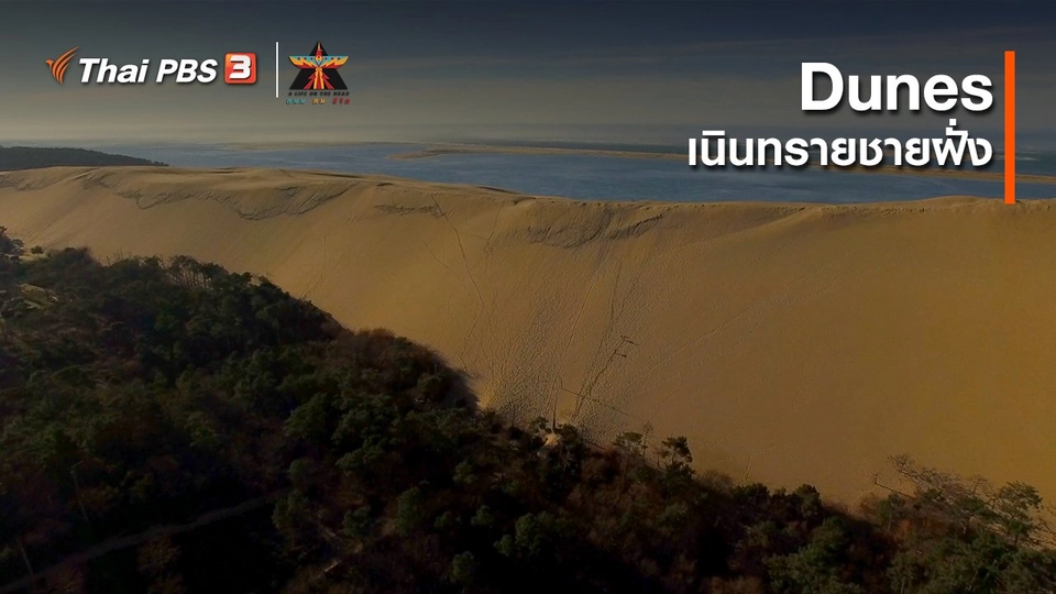 ​เรื่องเล่าการเดินทาง : เนินทรายชายฝั่ง (Dunes)