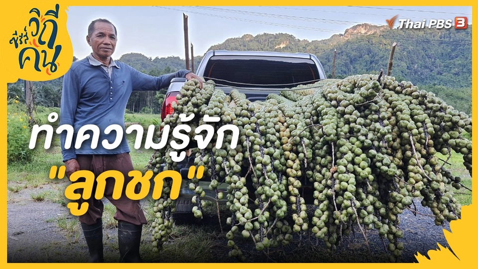 ทำความรู้จัก "ลูกชก"