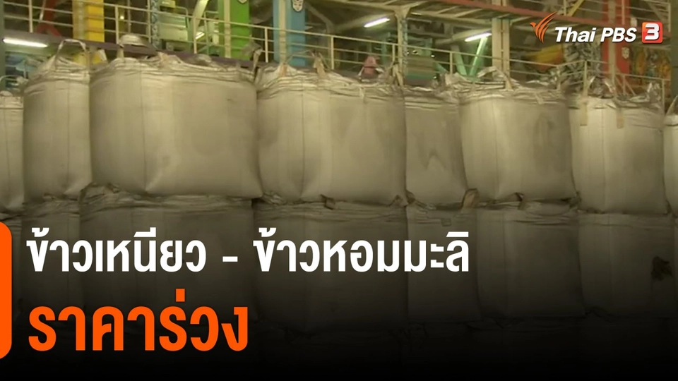 วัคซีนเศรษฐกิจ : ข้าวเหนียว - ข้าวหอมมะลิ ราคาร่วง