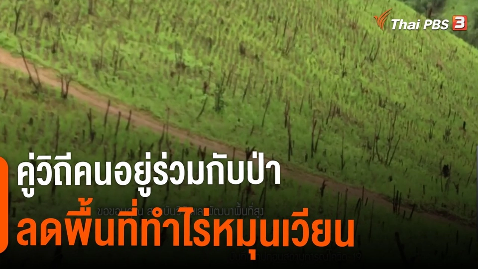 ​ดอกผลของความยั่งยืน : คู่วิถีคนอยู่ร่วมกับป่า ลดพื้นที่ทำไร่หมุนเวียน