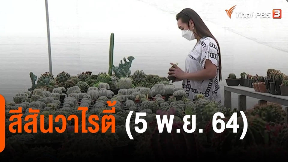 ​สีสันวาไรตี้ (5 พ.ย. 64)