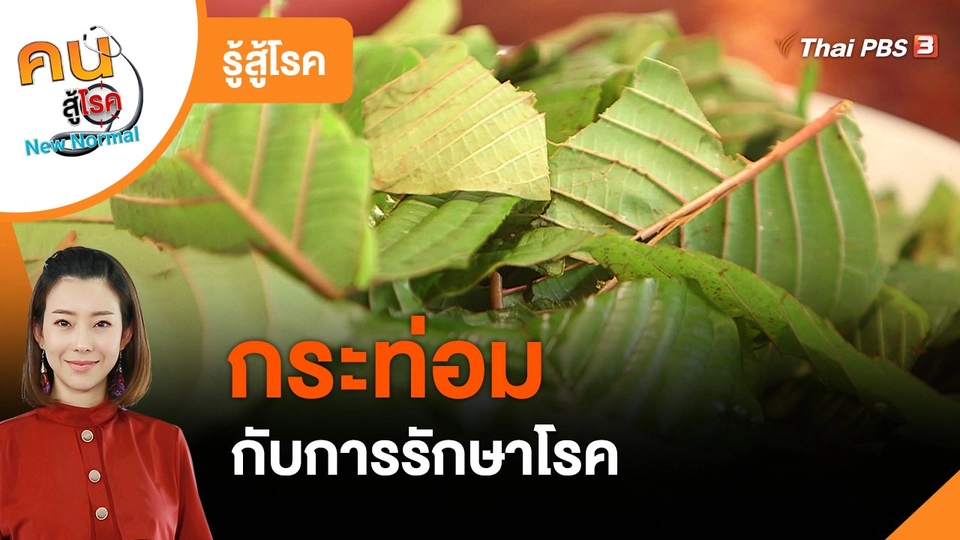 ​รู้สู้โรค : กระท่อมกับการรักษาโรค