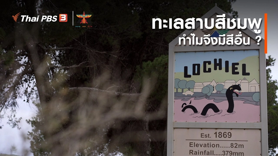 ​เรื่องเล่าการเดินทาง : ทะเลสาบสีชมพู ทำไมจึงมีสีอื่น ?