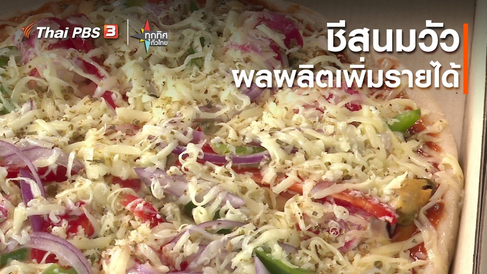 ​อาชีพทั่วไทย : ชีสนมวัวผลผลิตเพิ่มรายได้ จ.มหาสารคาม