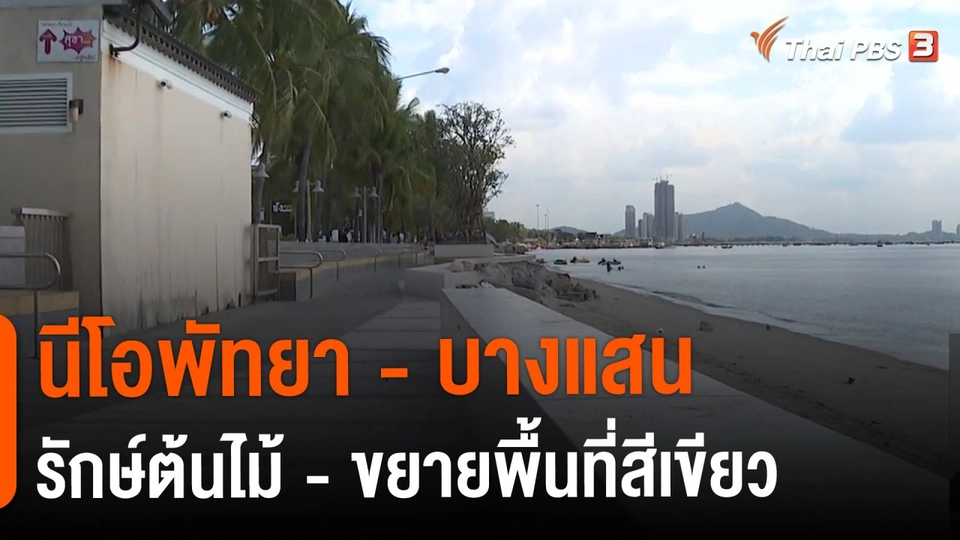 ​ประเด็นสังคม : นีโอพัทยา - บางแสน รักษ์ต้นไม้ - ขยายพื้นที่สีเขียว