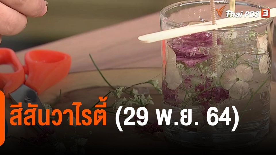 ​สีสันวาไรตี้ (29 พ.ย. 64)