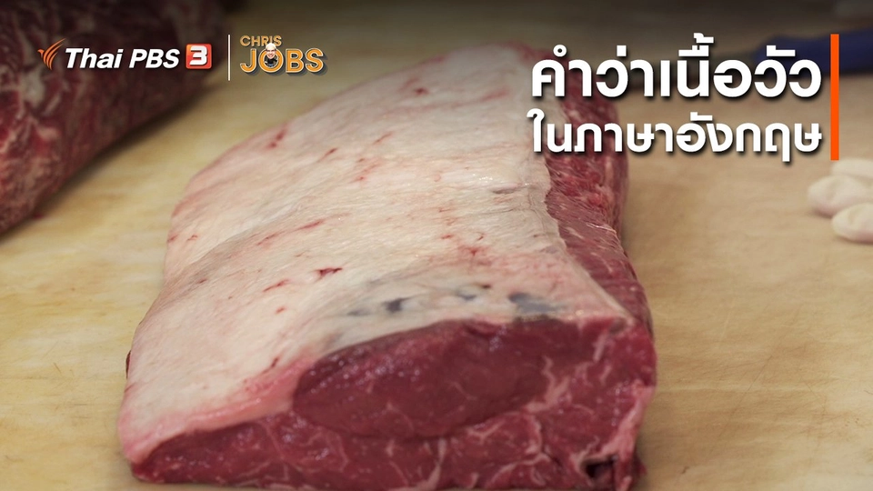 สาระน่ารู้จาก Chris Jobs : คำว่าเนื้อวัวในภาษาอังกฤษ