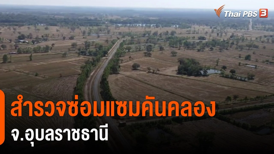 ​สำรวจซ่อมแซมคันคลอง จ.อุบลราชธานี