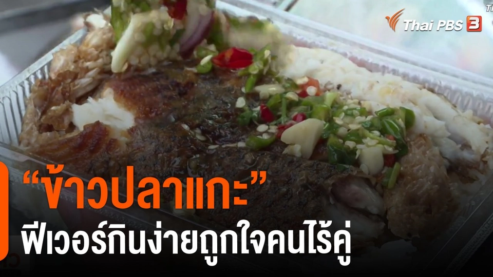 ชีวิตติดดิน ยกกำลัง 2 : "ข้าวปลาแกะ" ฟีเวอร์กินง่ายถูกใจคนไร้คู่