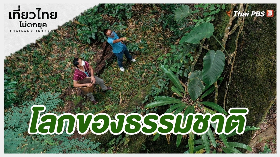 ​เที่ยวทั่วไทย : โลกของธรรมชาติ