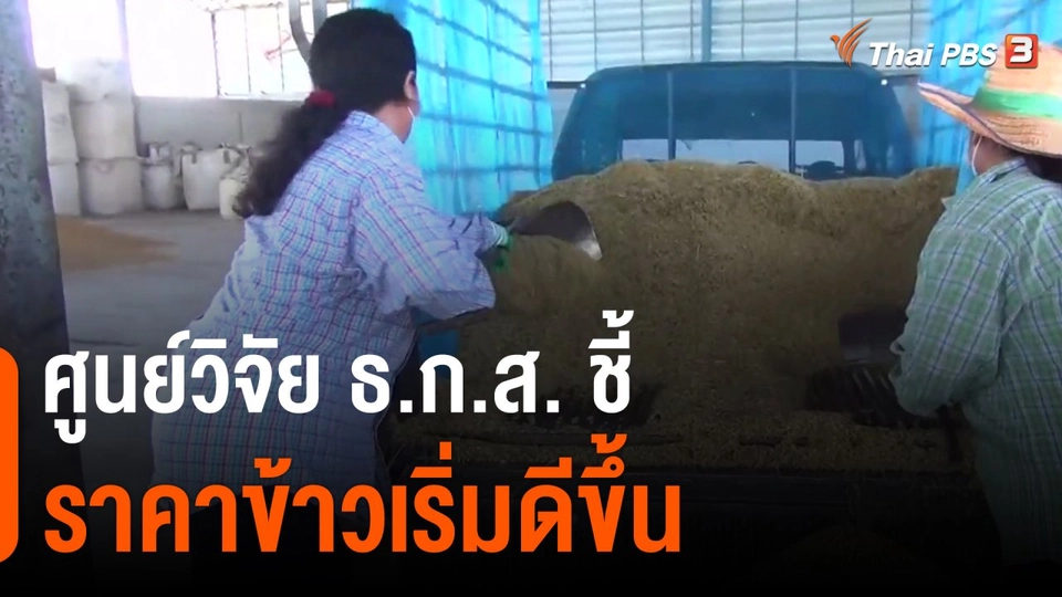 กินอยู่รู้รอบ : ศูนย์วิจัย ธ.ก.ส. ชี้ราคาข้าวเริ่มดีขึ้น