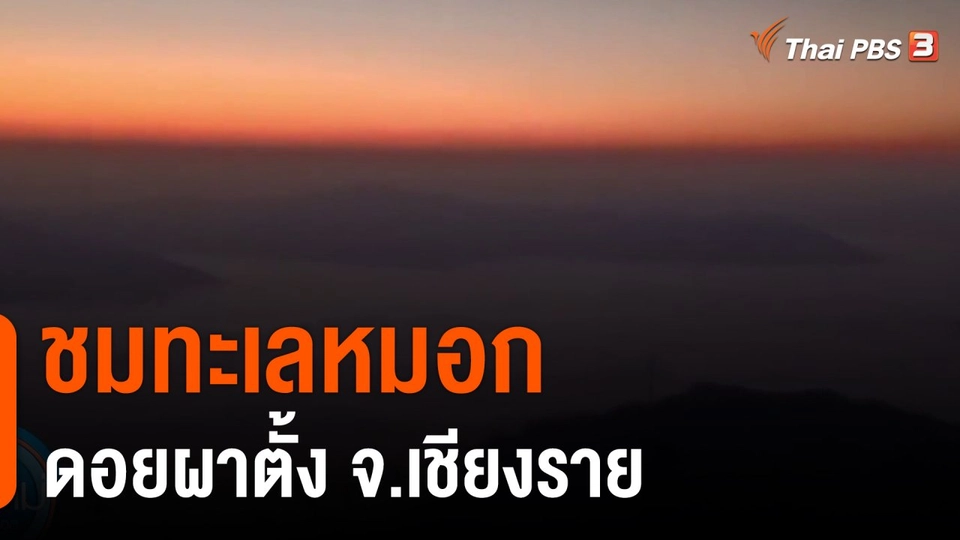 ชมทะเลหมอกดอยผาตั้ง จ.เชียงราย