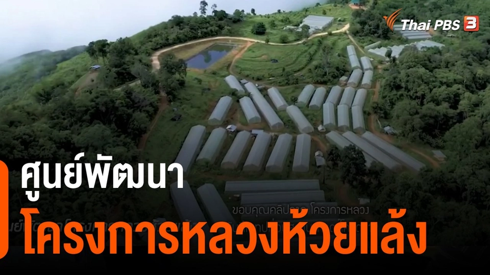 ดอกผลของความยั่งยืน : ศูนย์พัฒนาโครงการหลวงห้วยแล้ง