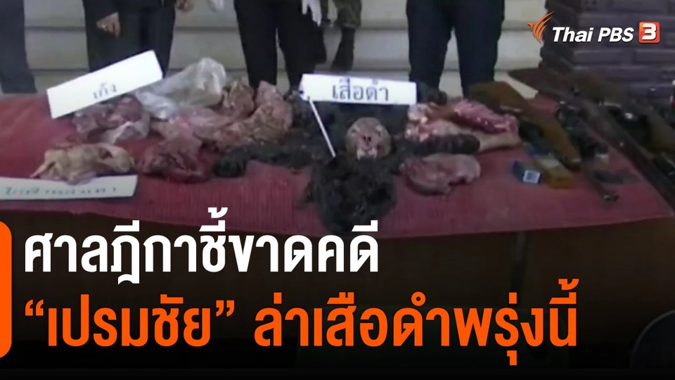 ​ศาลฎีกาชี้ขาดคดี "เปรมชัย" ล่าเสือดำพรุ่งนี้