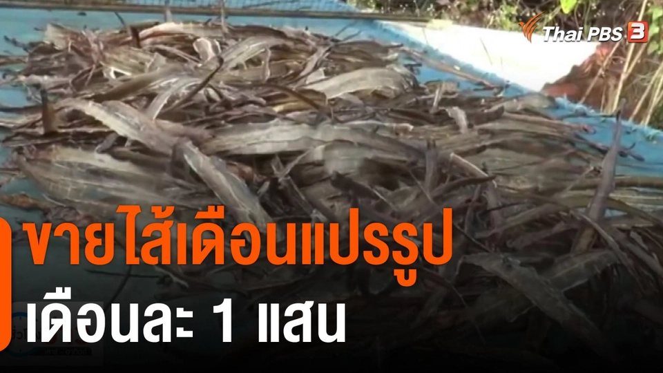 ชีวิตติดดิน ยกกำลัง 2 : ขายไส้เดือนแปรรูปเดือนละ 1 แสน