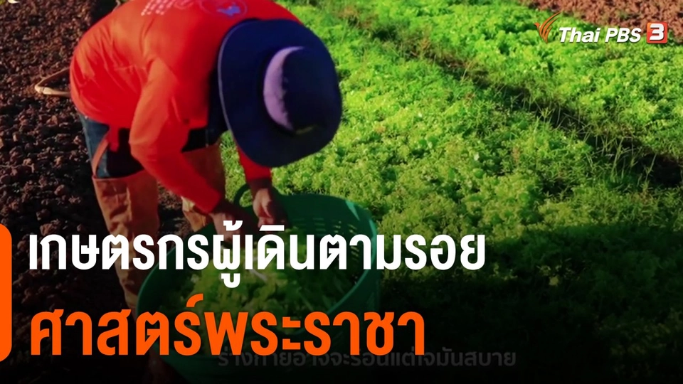 ดอกผลของความยั่งยืน : เกษตรกรผู้เดินตามรอยศาสตร์พระราชา