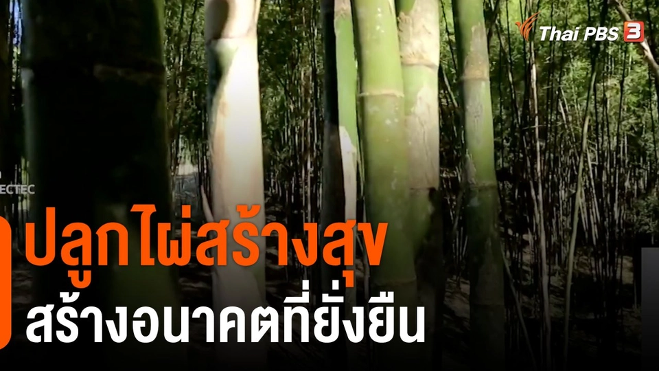 ดอกผลของความยั่งยืน : ปลูกไผ่สร้างสุข สร้างอนาคตที่ยั่งยืน