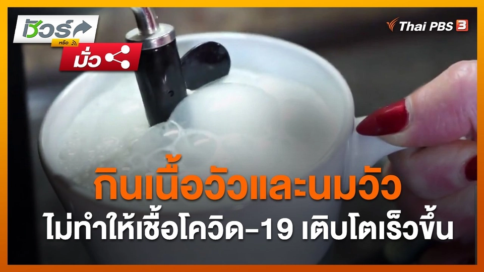 ชัวร์หรือมั่ว : กินเนื้อวัวและนมวัว ไม่ทำให้เชื้อโควิด-19 เติบโตเร็วขึ้น