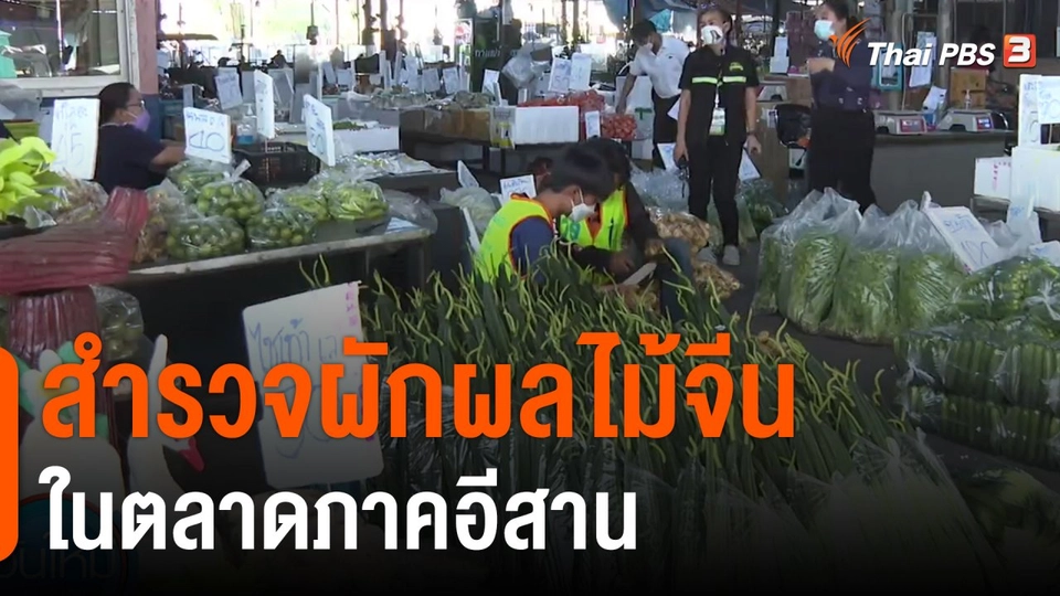 กินอยู่รู้รอบ : สำรวจผักผลไม้จีนในตลาดภาคอีสาน