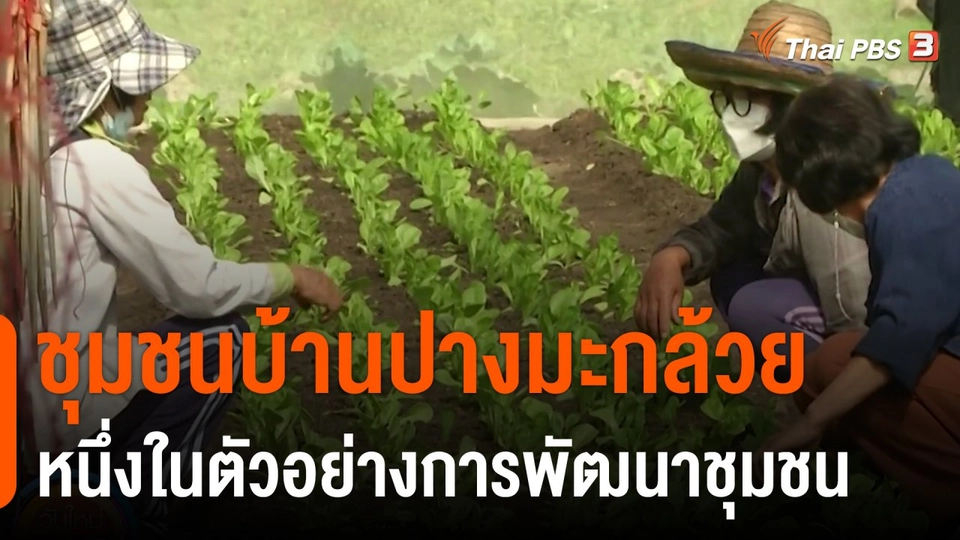 ดอกผลของความยั่งยืน : ชุมชนบ้านปางมะกล้วย หนึ่งในตัวอย่างการพัฒนาชุมชนคนอยู่กับป่า